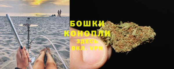 мдпв Протвино