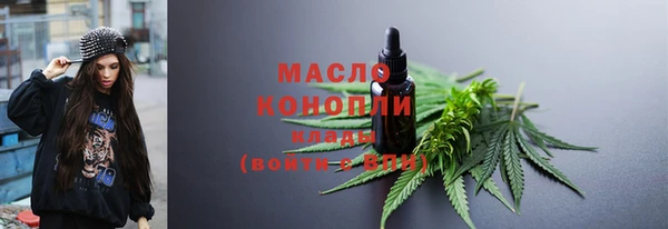 мдпв Протвино