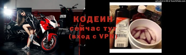 мдпв Протвино