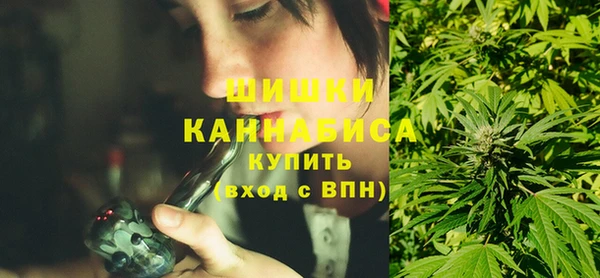мдпв Протвино