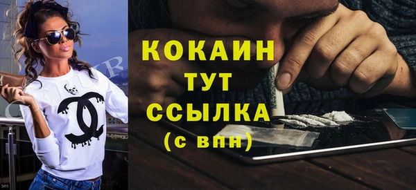 мдпв Протвино